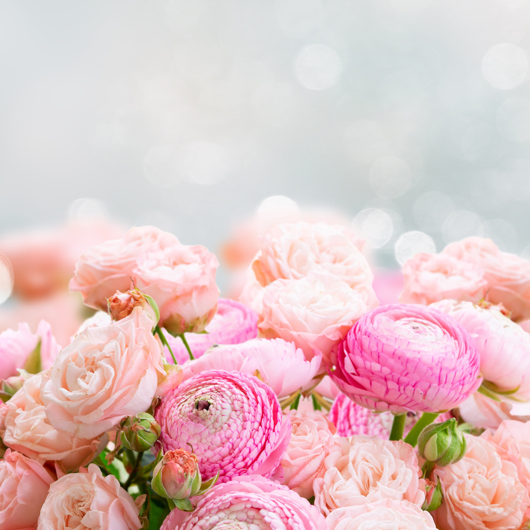 http://clementineboutique.ca/cdn/shop/articles/Pink_Flowers_Background_Hello_February_Instagram_Post.png?v=1699473656