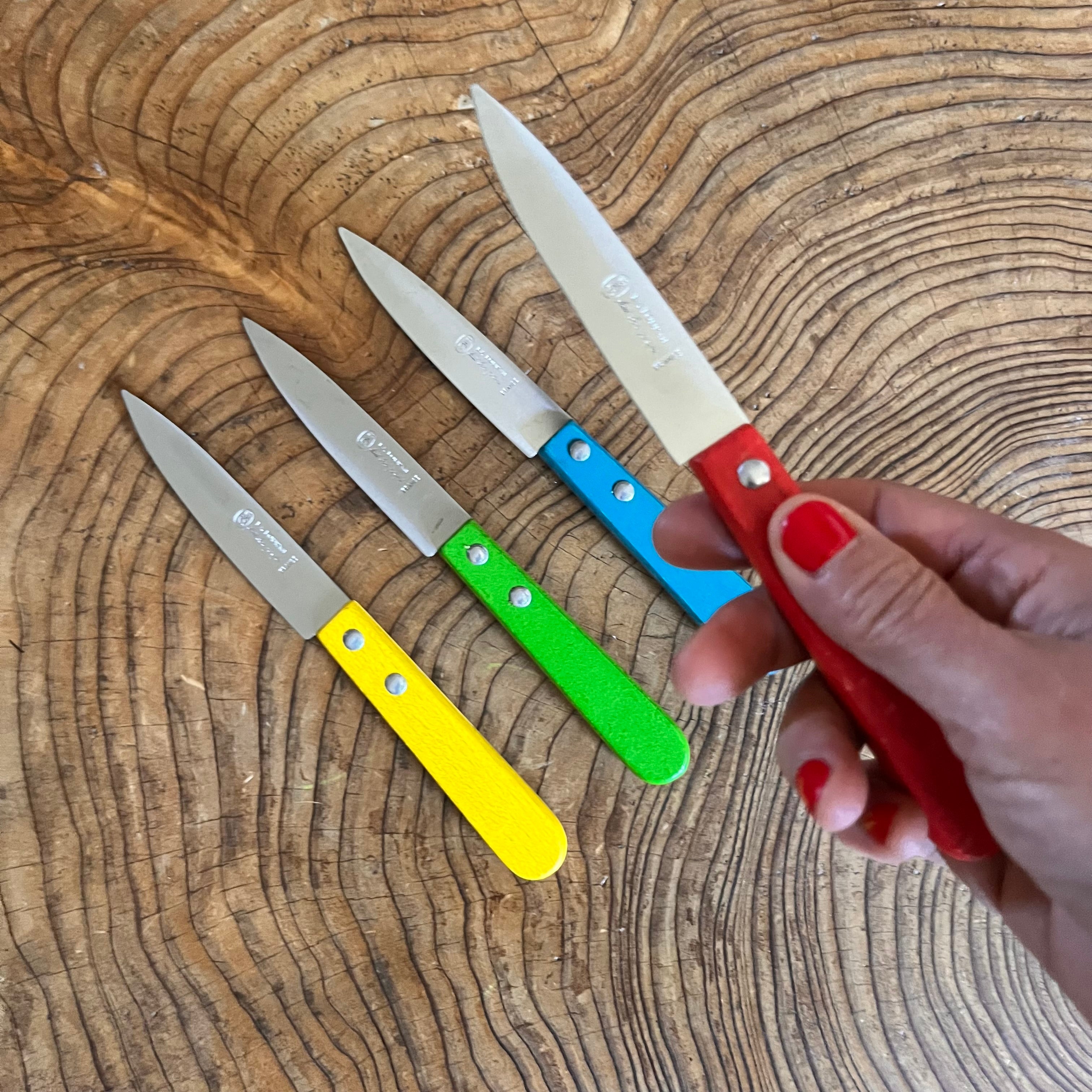Paring kitchen knife, color wood handle