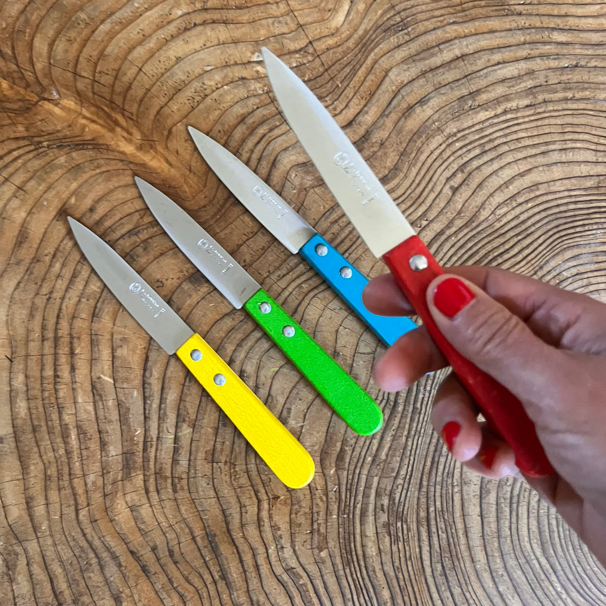 Four small kitchen knives with colorful handles in yellow, green, blue, and red are arranged on a rustic wood surface, with a hand holding the red-handled knife in the foreground.