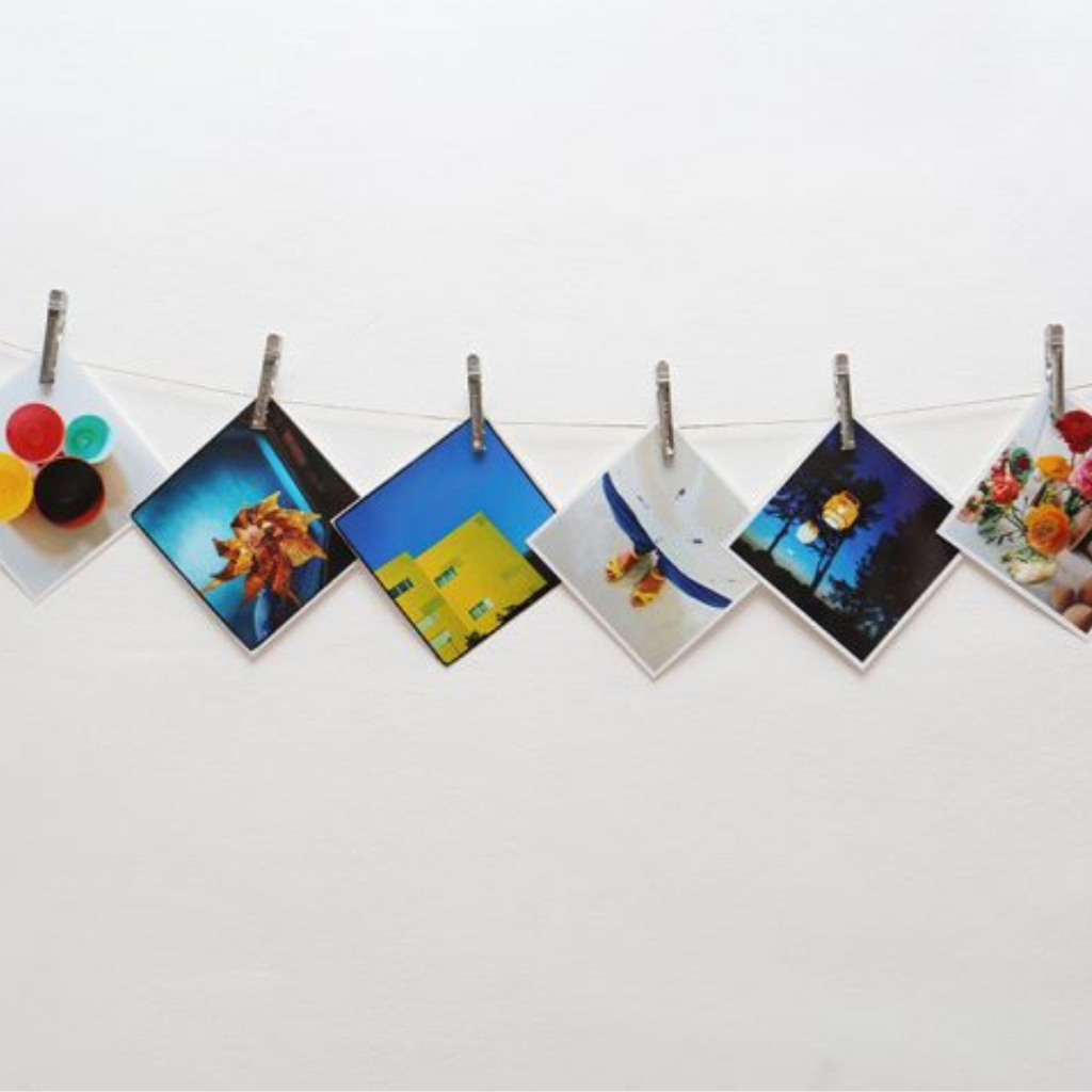 Pincinox Canada Set of French stainless steel clothes peg x5 Clementine Boutique