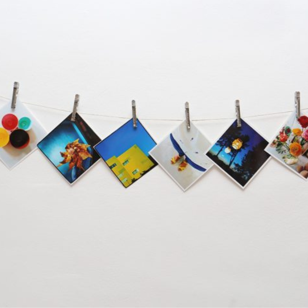 Pincinox Canada Set of French stainless steel clothes peg x5 Clementine Boutique