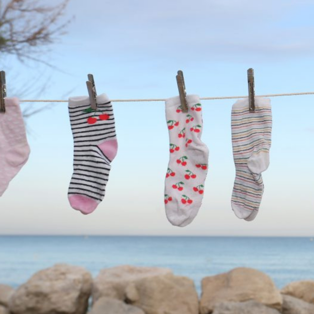 Pincinox Canada Set of French stainless steel clothes peg x5 Clementine Boutique