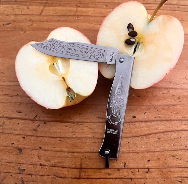 Douk-Douk Utility Pocket Knife 160mm, Stainless Steel Blade, Chromed Handle Clementine Boutique