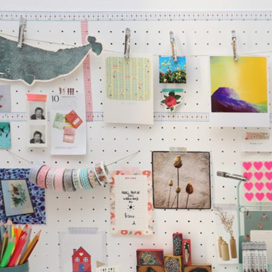 Pincinox Canada Set of French stainless steel clothes peg x5 Clementine Boutique