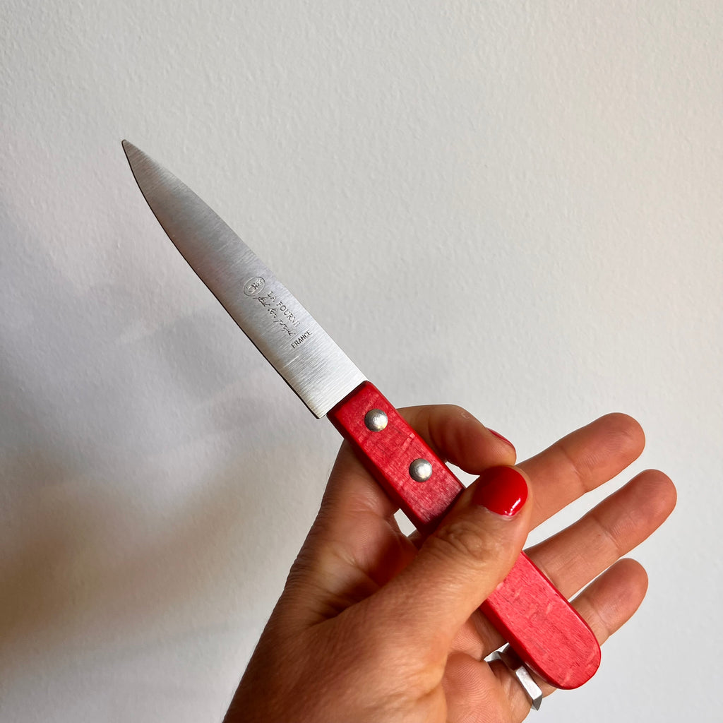 Paring kitchen knife, color wood handle