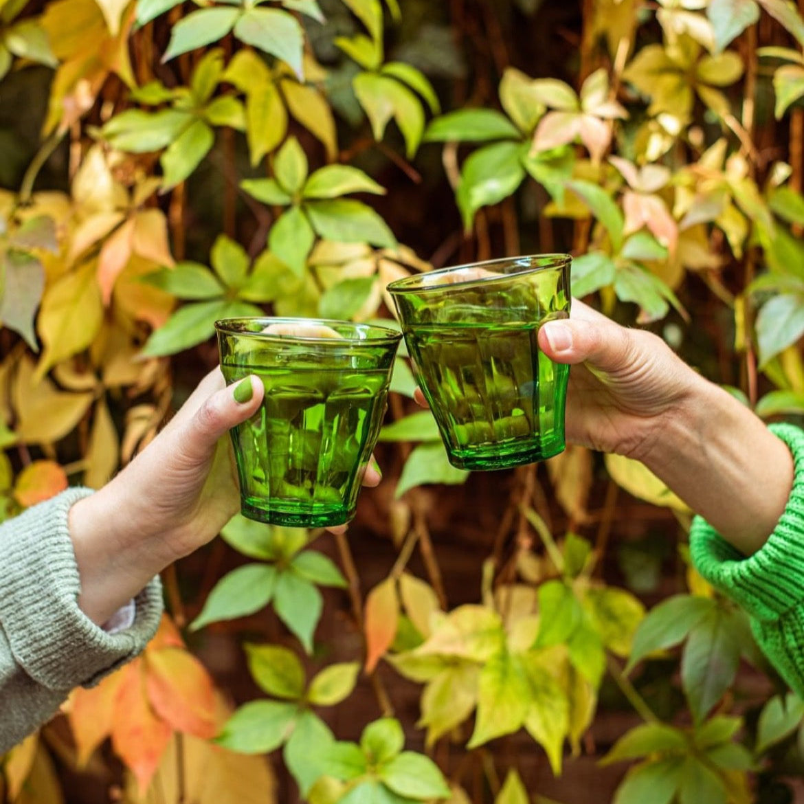 Duralex Canada Picardie Green Tumbler 25cl x6 made in France Clementine Boutique Toronto