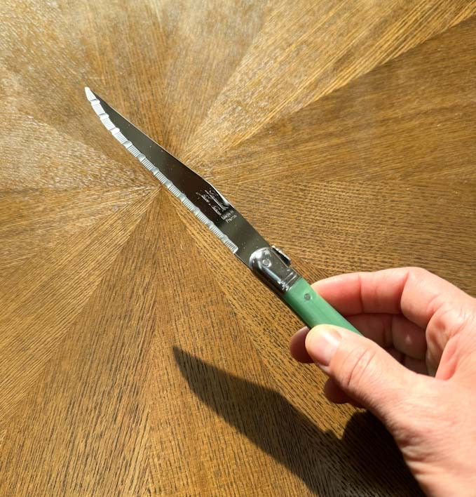 Laguiole ® Steak Knives, Set of 6 - Pastel Green Handle, in wooden tray