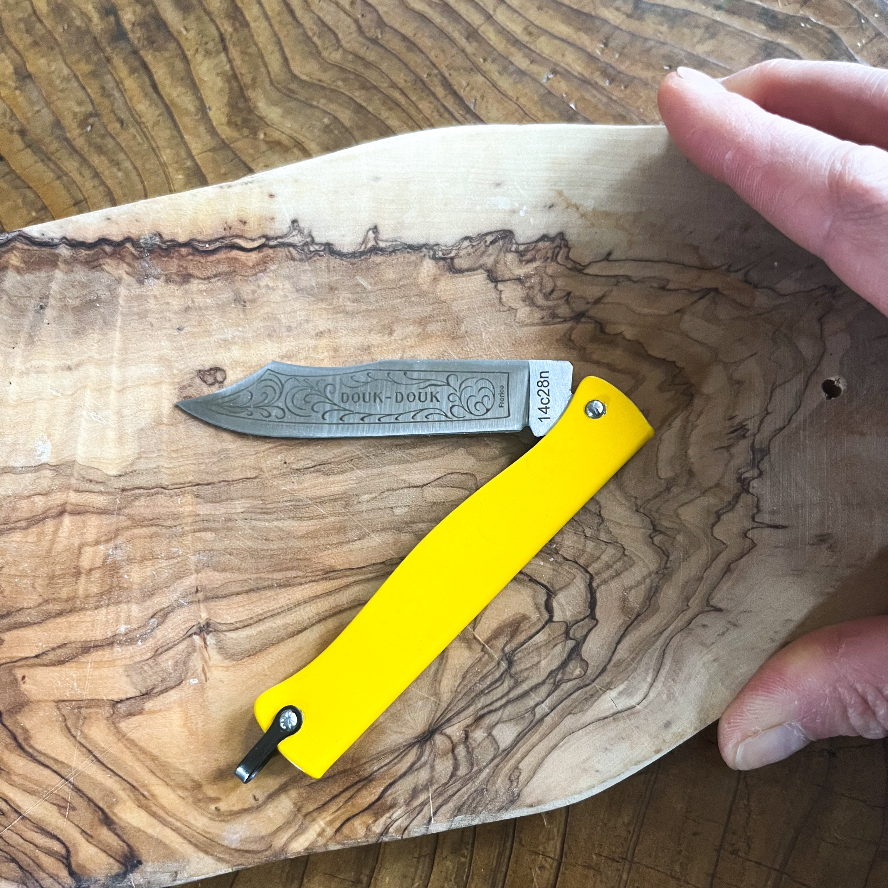 Douk-Douk Color Utility Pocket Knife, 160mm, Made in France, Clementine Boutique