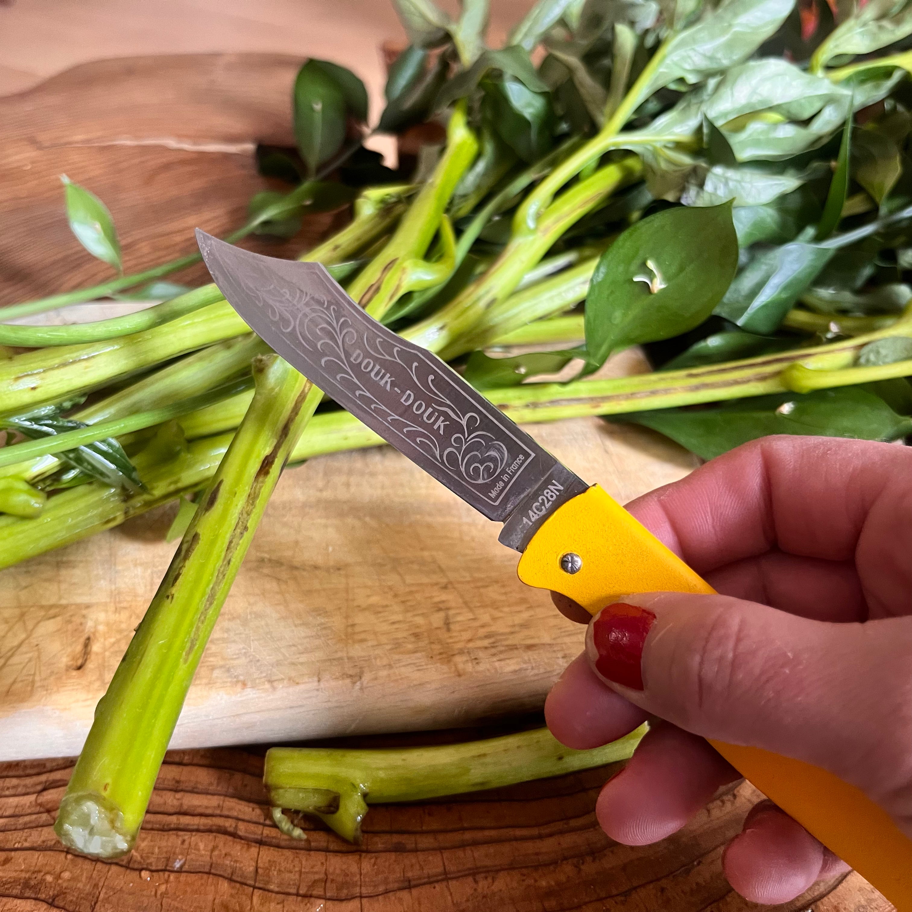 Douk-Douk Pocket Knife Set with sharpening steel and leather sleeve