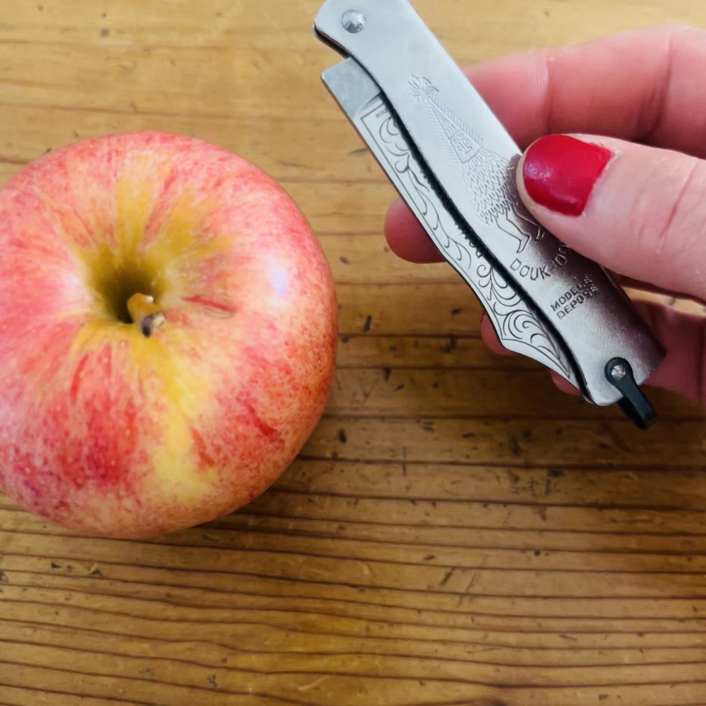 Douk-Douk Original Utility Pocket Knife 160mm, Carbon Steel Blade, Chromed Handle Canada Clementine Boutique Toronto