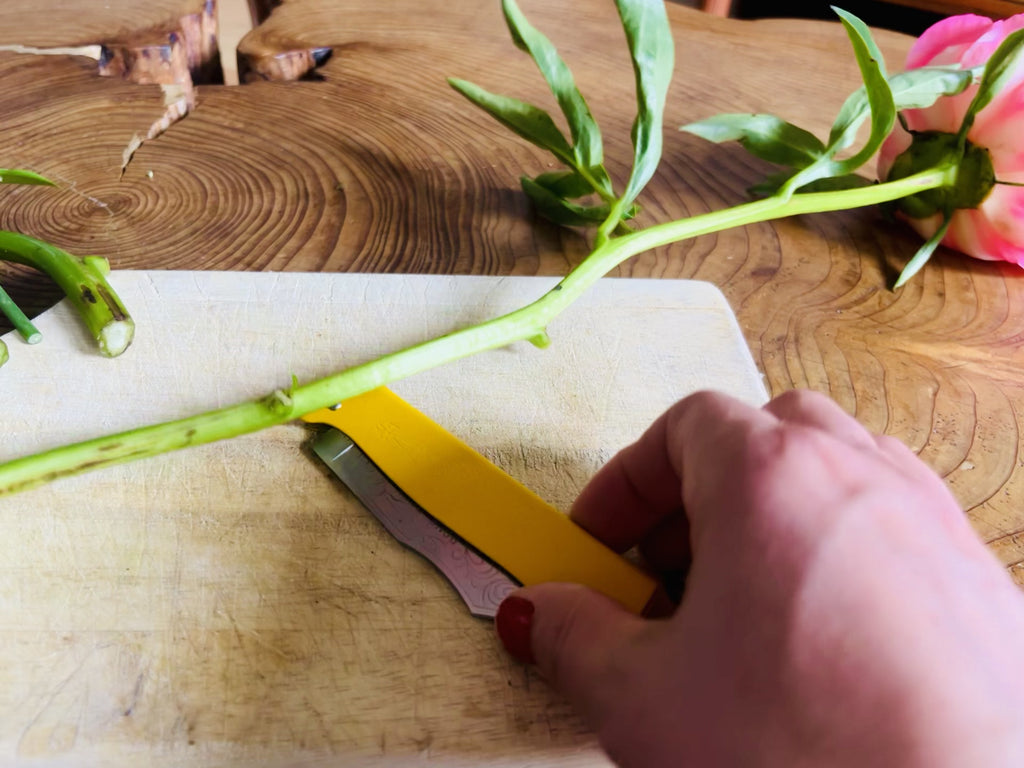 Douk-Douk Pocket Knife Set with sharpening steel and leather sleeve