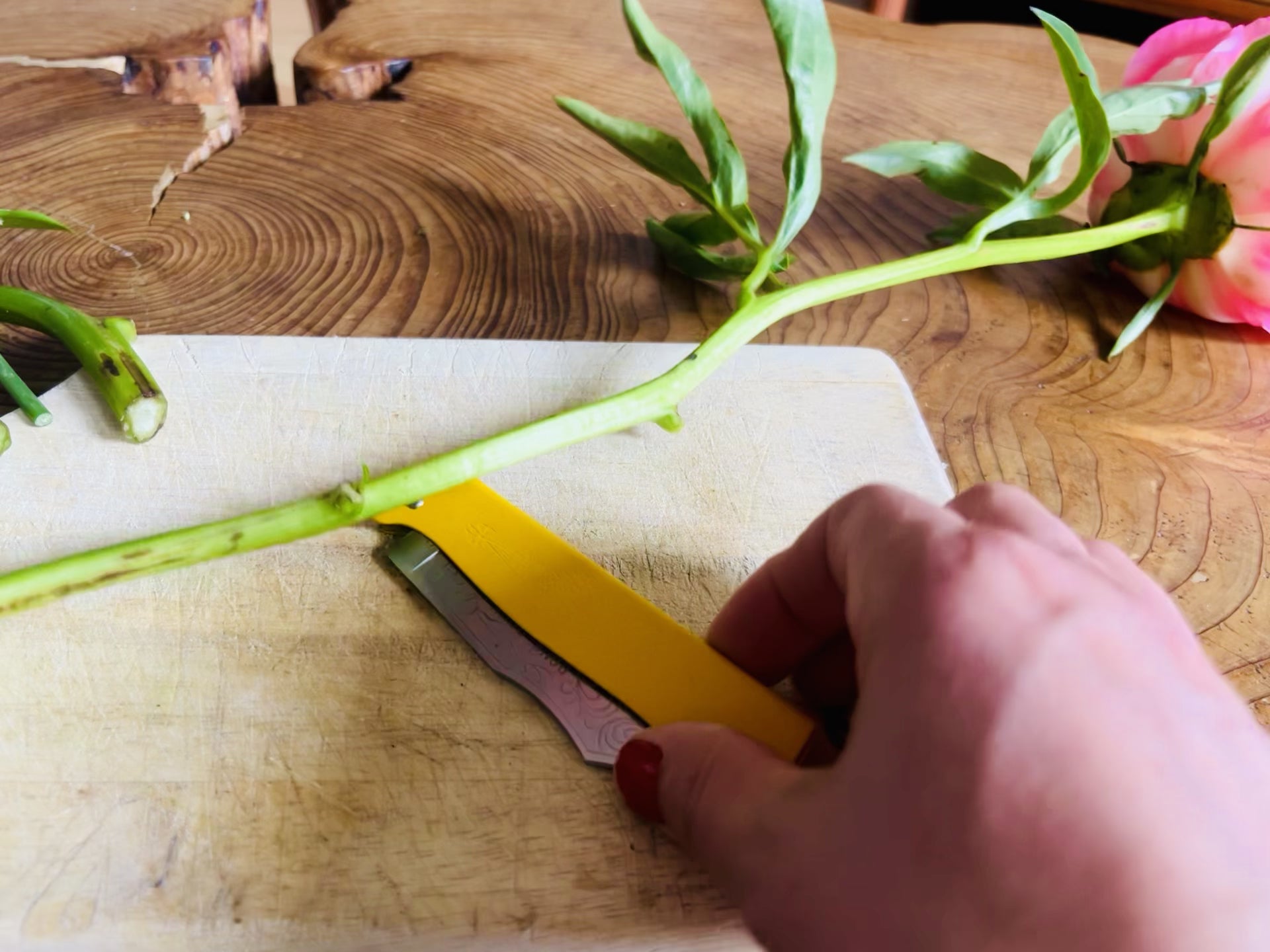 Douk-Douk Pocket Knife Set with sharpening steel and leather sleeve