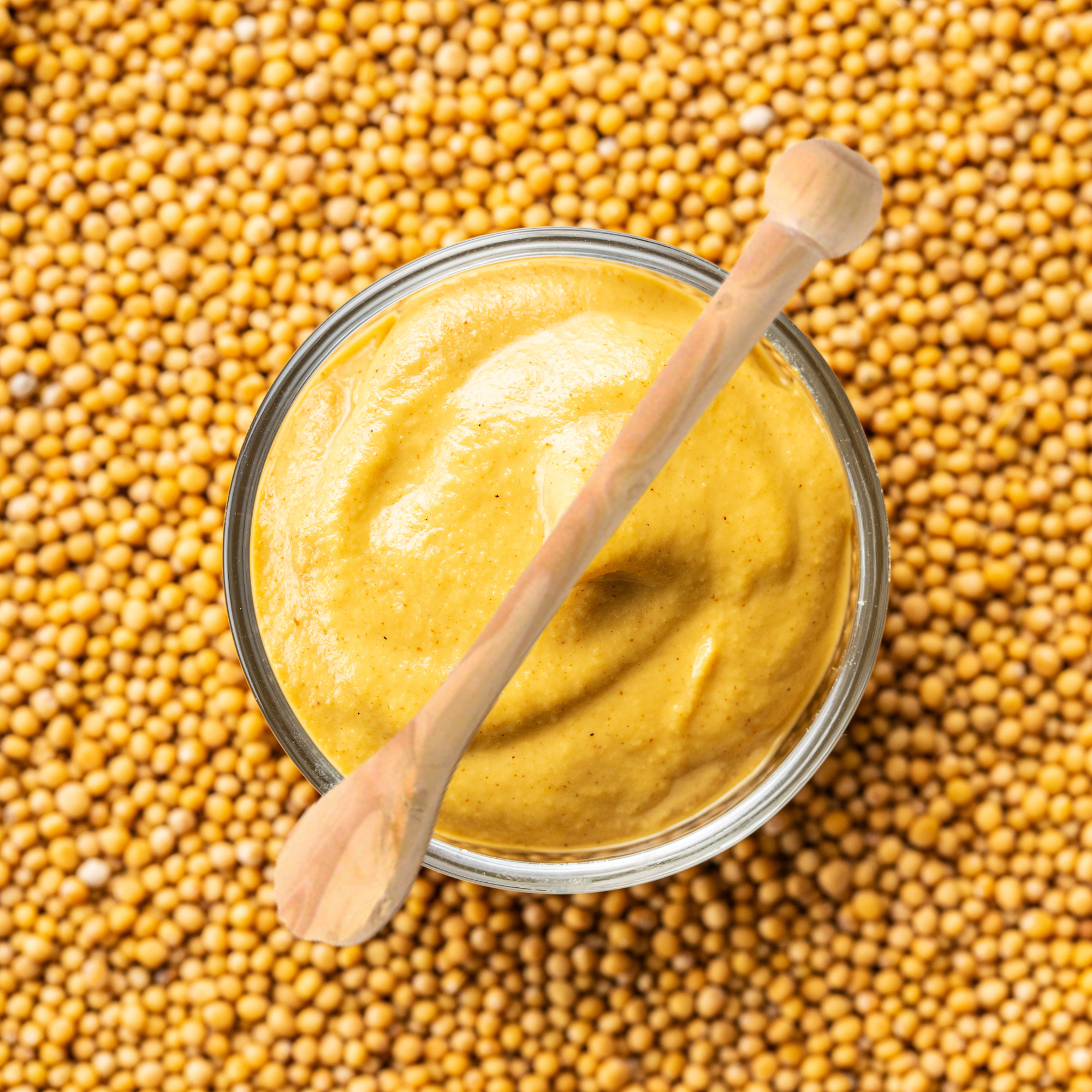 Mustard Condiment Spoon in Boxwood Made in France Clementine Boutique