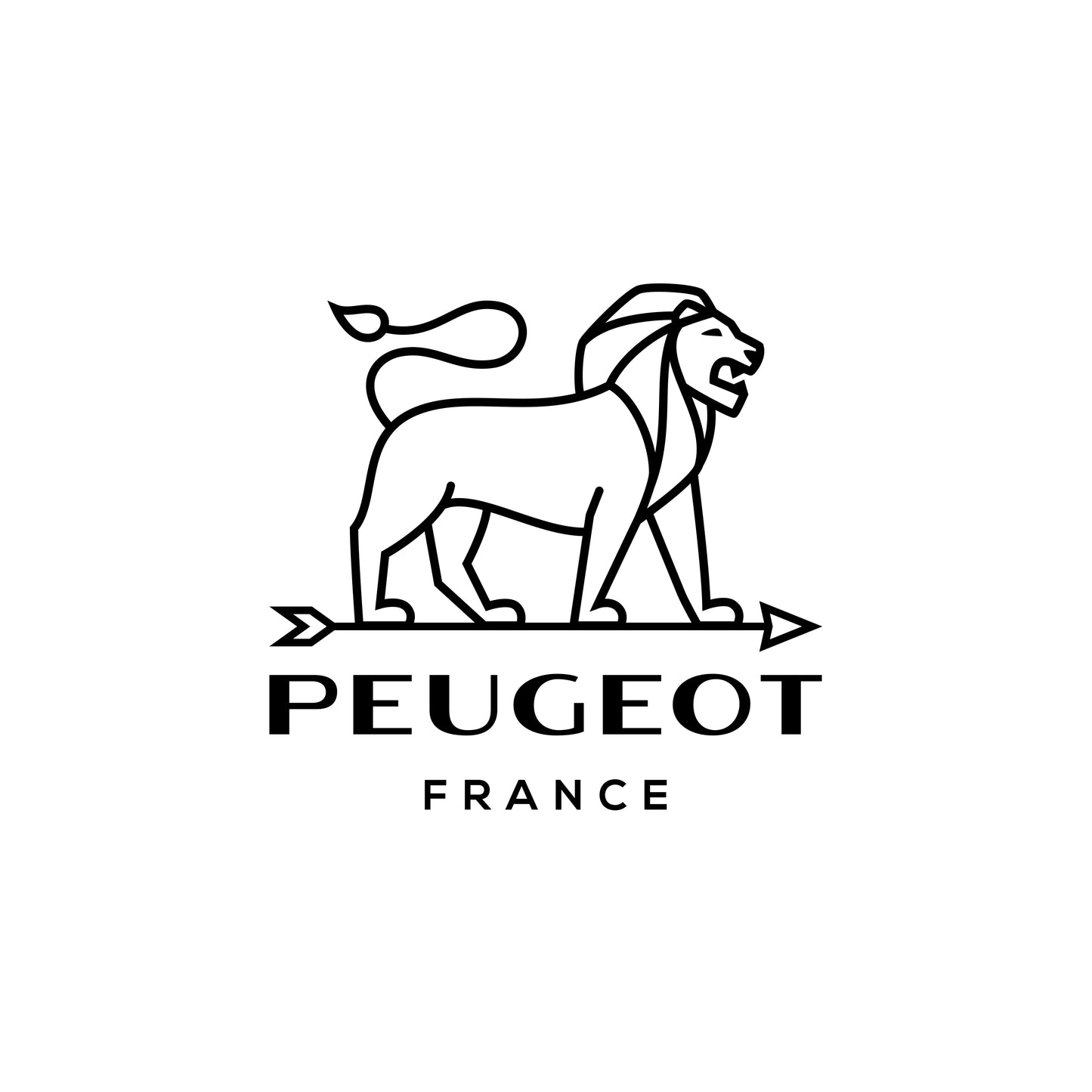 Peugeot Canada Paris Salt Mill 22cm in Graphite - Clementine Boutique Toronto