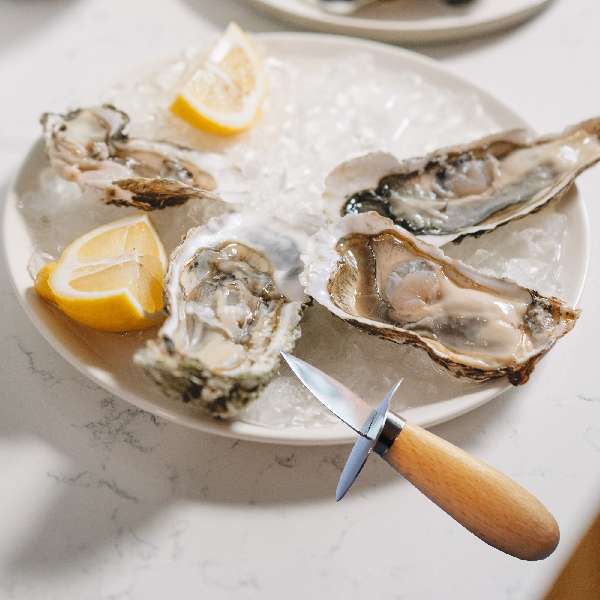 Oyster Knife Shucking Tool